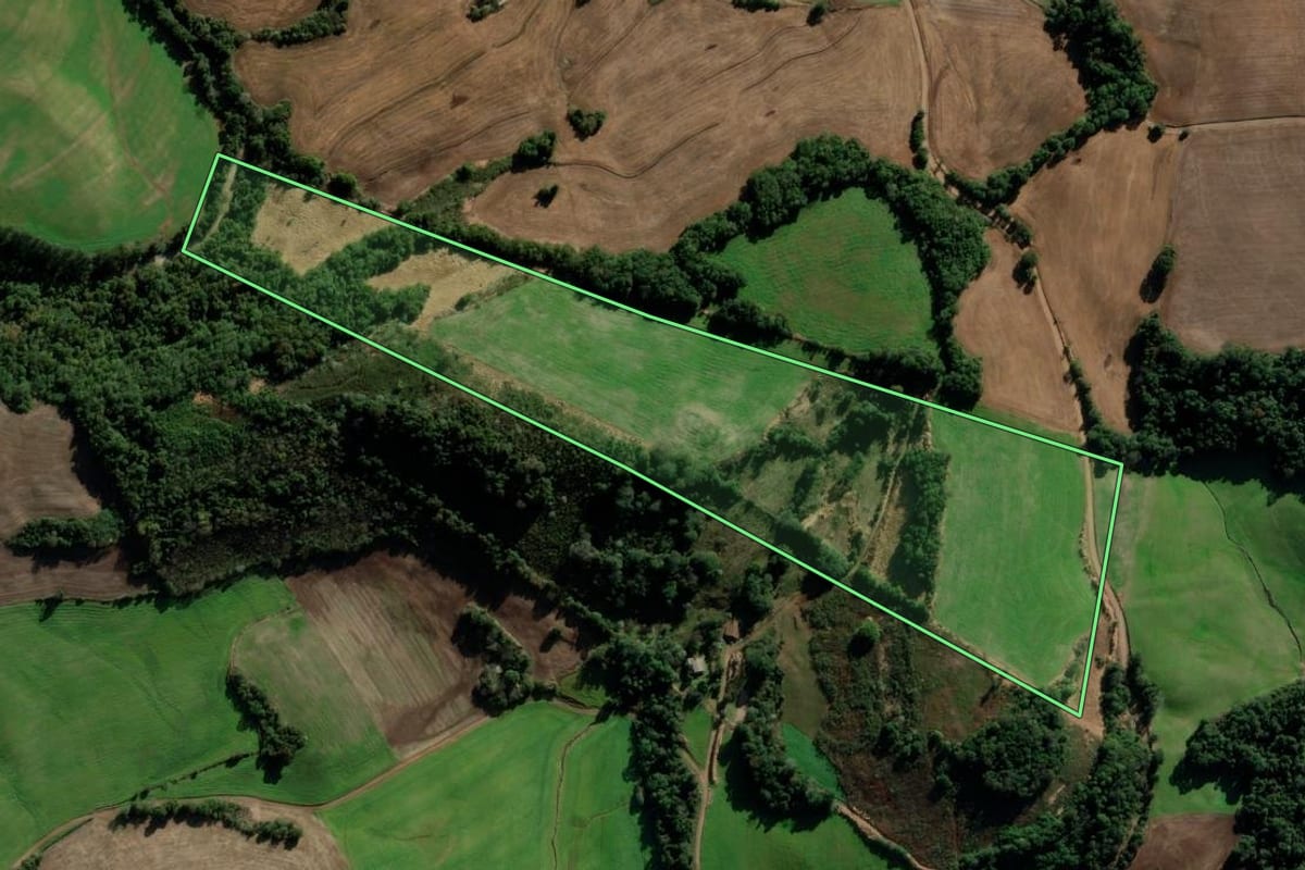 Imagem de satélite do imóvel rural em Condor (RS), com o contorno declarado no CAR desenhado por cima.