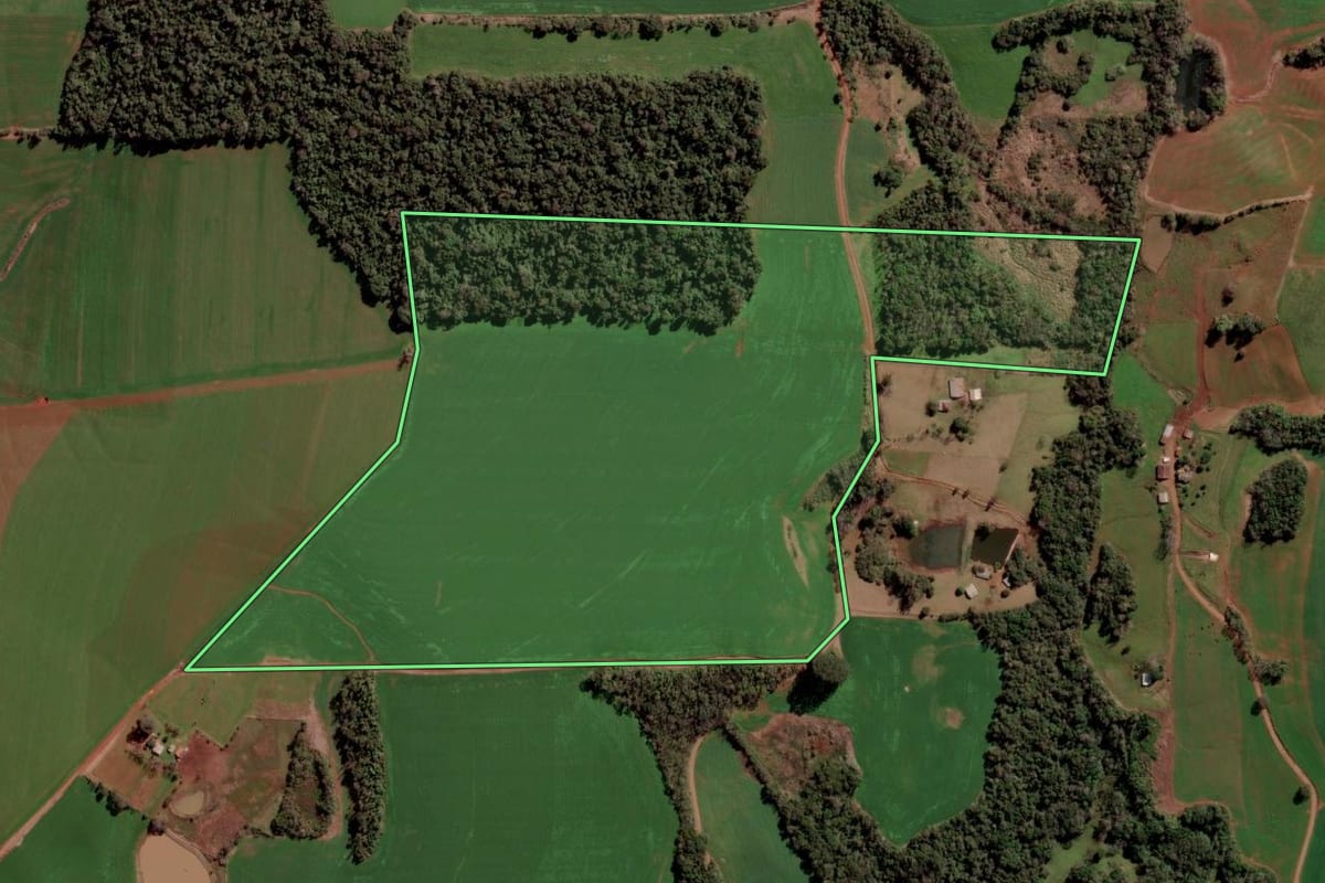 Imagem de satélite do imóvel rural em Condor (RS), com o contorno declarado no CAR desenhado por cima.