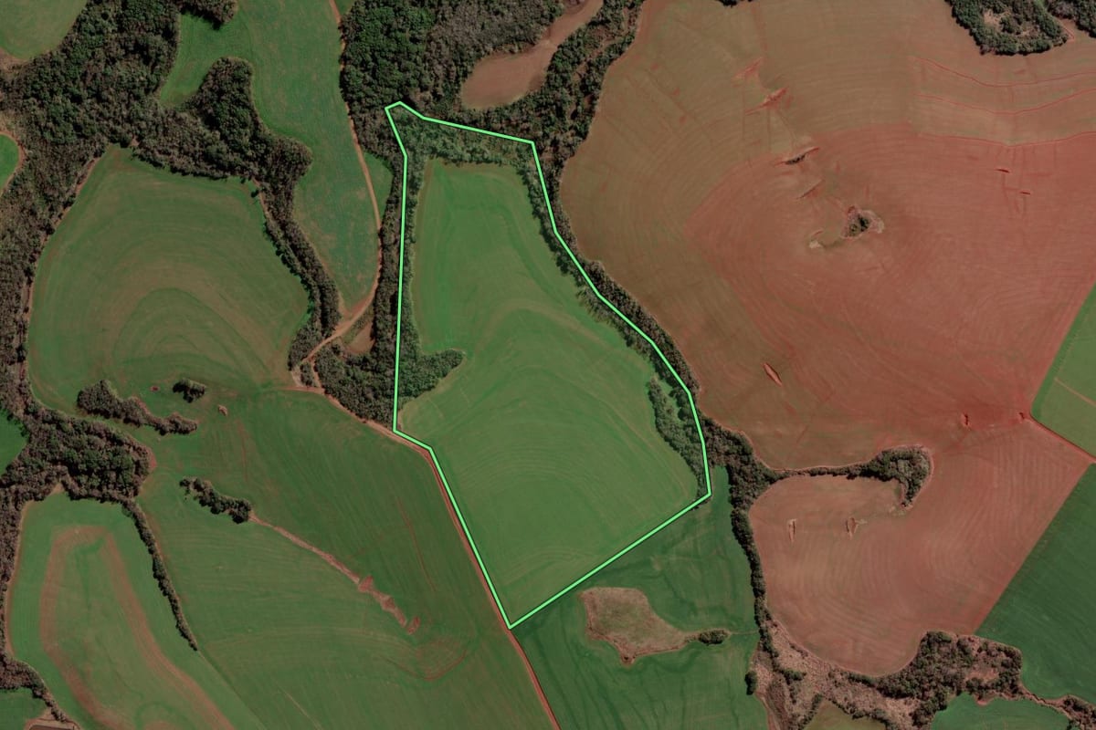 Imagem de satélite do imóvel rural em Condor (RS), com o contorno declarado no CAR desenhado por cima.
