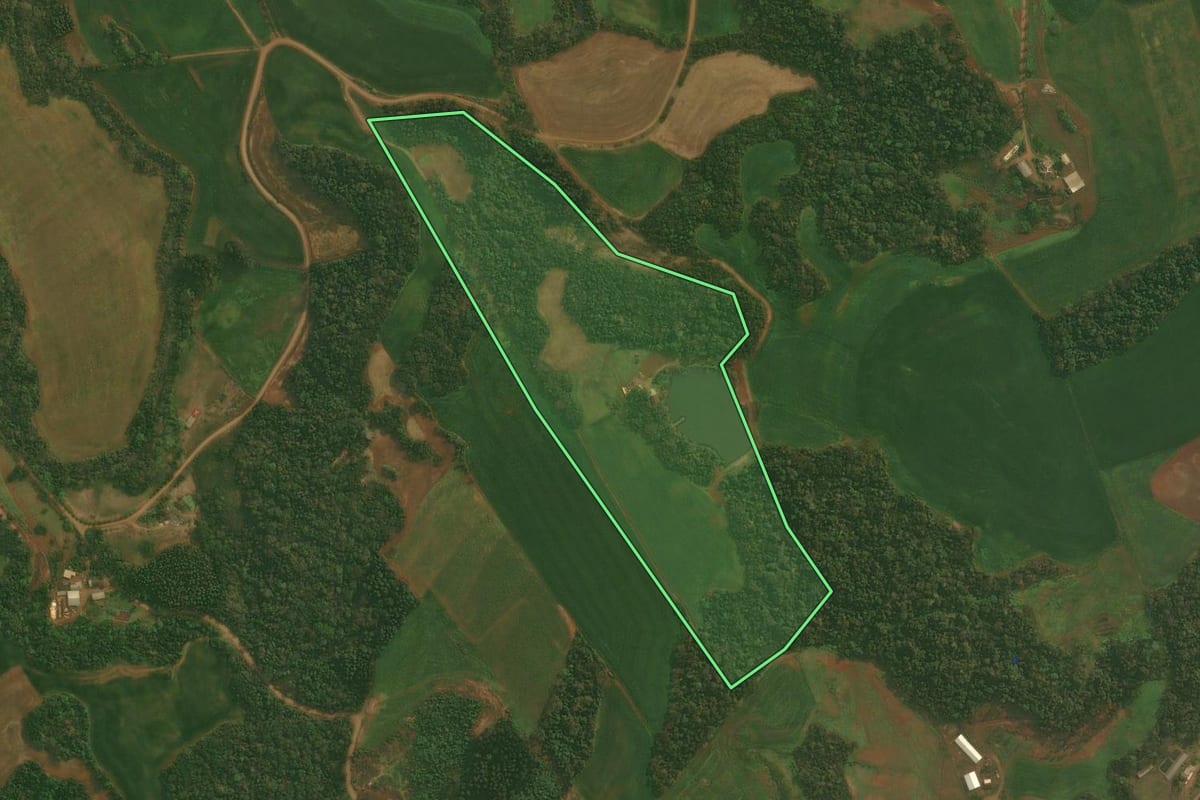 Imagem de satélite do imóvel rural em Condor (RS), com o contorno declarado no CAR desenhado por cima.