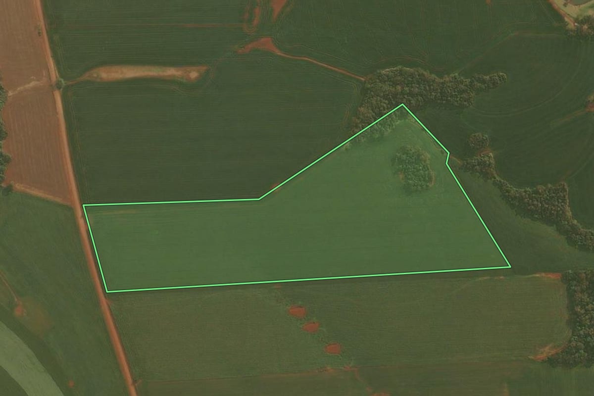 Imagem de satélite do imóvel rural em Condor (RS), com o contorno declarado no CAR desenhado por cima.
