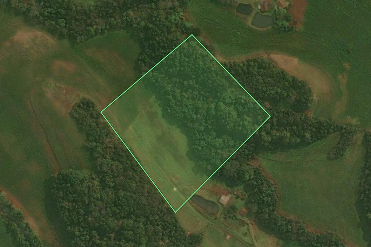 Imagem de satélite do imóvel rural em Condor (RS), com o contorno declarado no CAR desenhado por cima.
