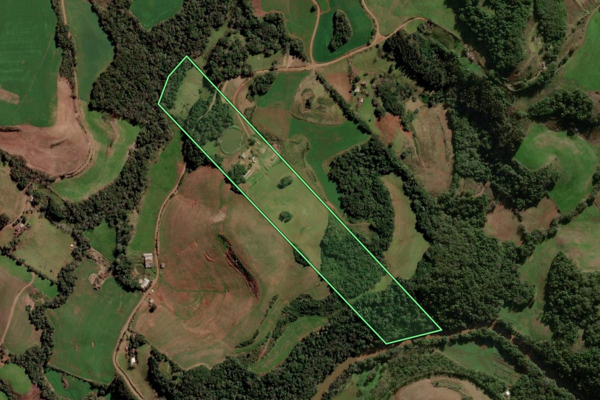 Imagem de satélite do imóvel rural em Condor (RS), com o contorno declarado no CAR desenhado por cima.