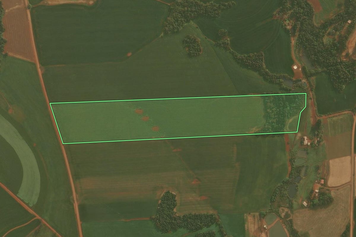 Imagem de satélite do imóvel rural em Condor (RS), com o contorno declarado no CAR desenhado por cima.