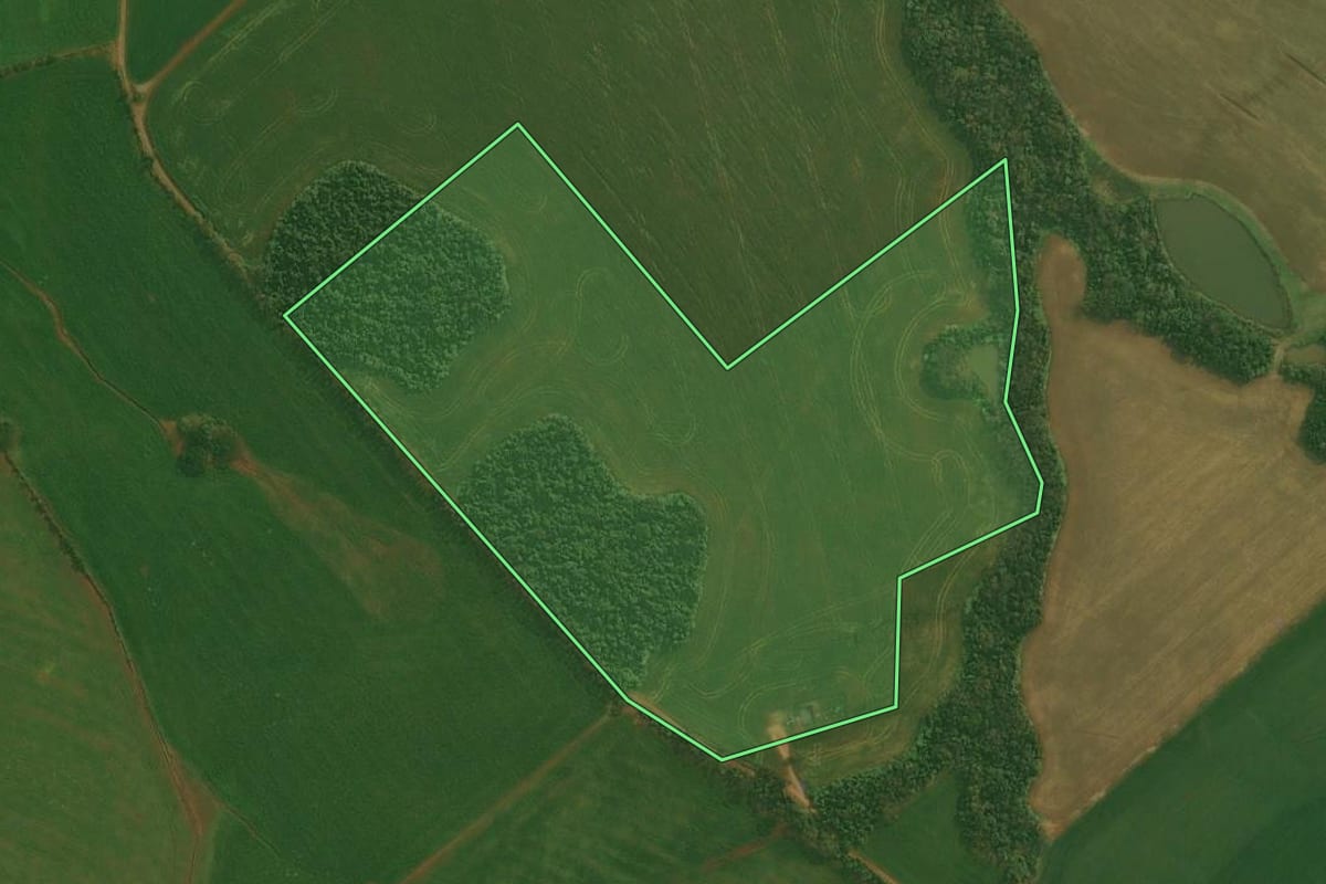 Imagem de satélite do imóvel rural em Condor (RS), com o contorno declarado no CAR desenhado por cima.