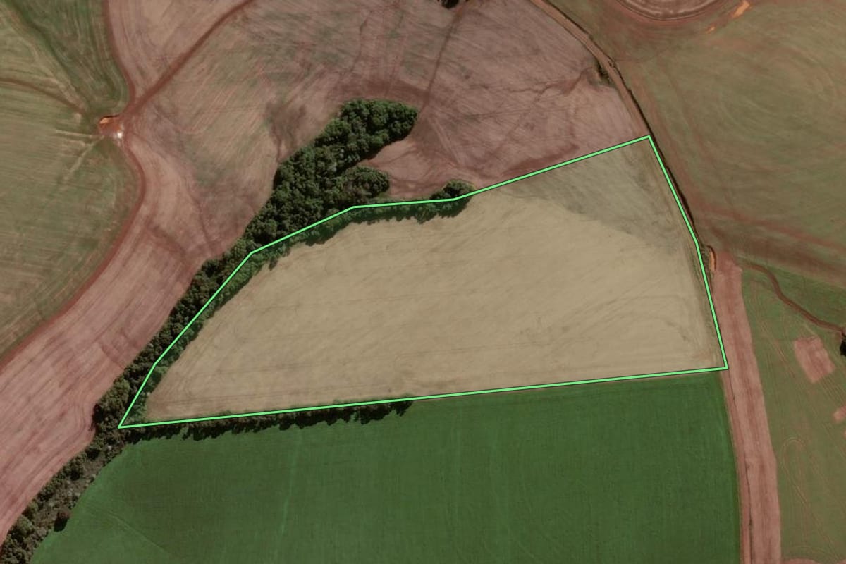 Imagem de satélite do imóvel rural em Condor (RS), com o contorno declarado no CAR desenhado por cima.