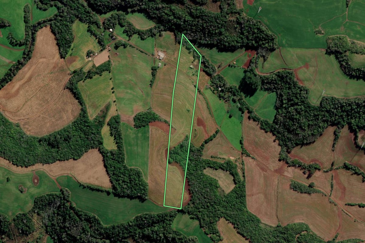 Imagem de satélite do imóvel rural em Constantina (RS), com o contorno declarado no CAR desenhado por cima.