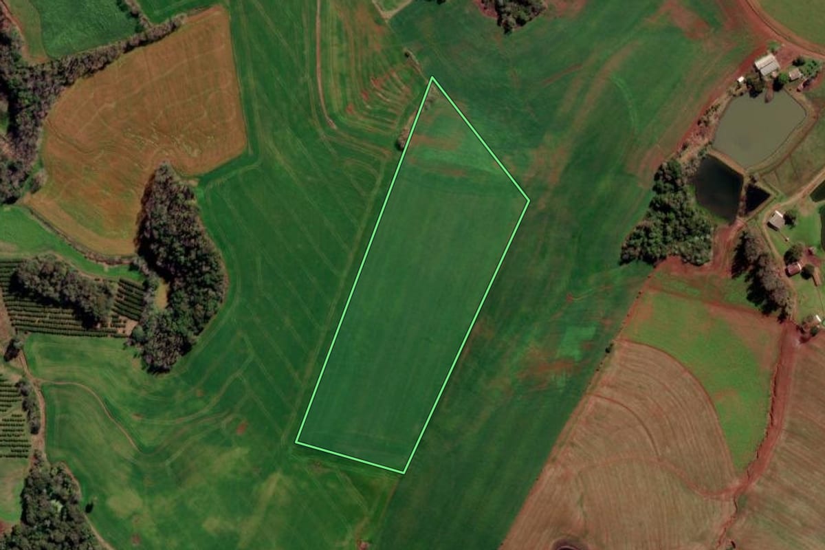 Imagem de satélite do imóvel rural em Constantina (RS), com o contorno declarado no CAR desenhado por cima.