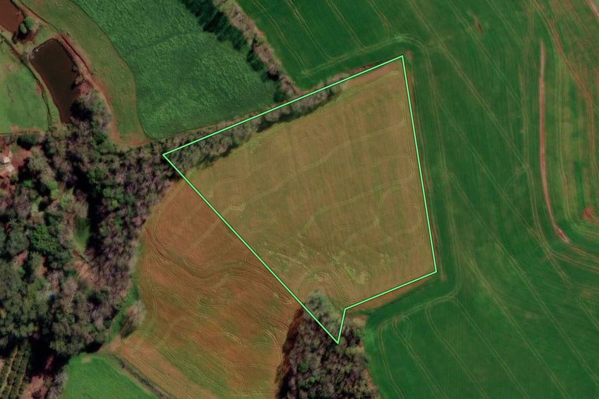 Imagem de satélite do imóvel rural em Constantina (RS), com o contorno declarado no CAR desenhado por cima.