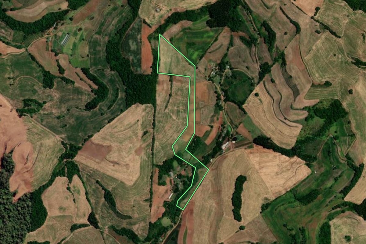 Imagem de satélite do imóvel rural em Constantina (RS), com o contorno declarado no CAR desenhado por cima.