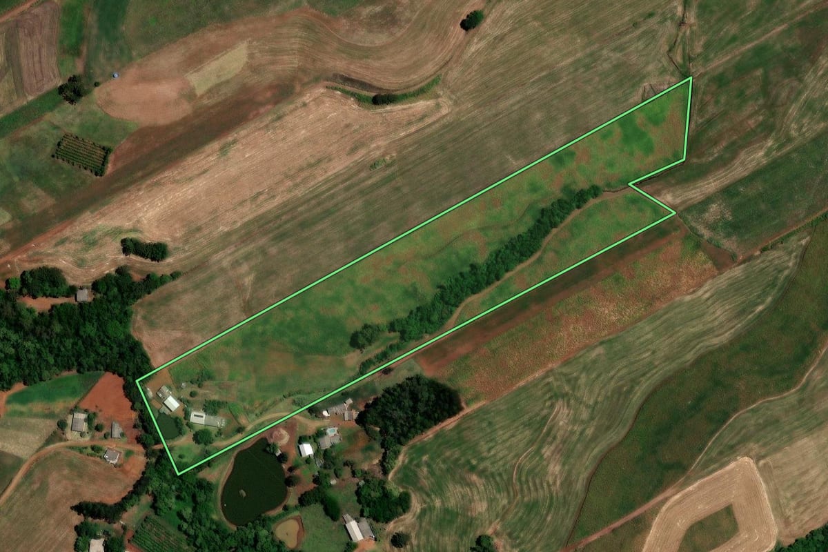 Imagem de satélite do imóvel rural em Constantina (RS), com o contorno declarado no CAR desenhado por cima.