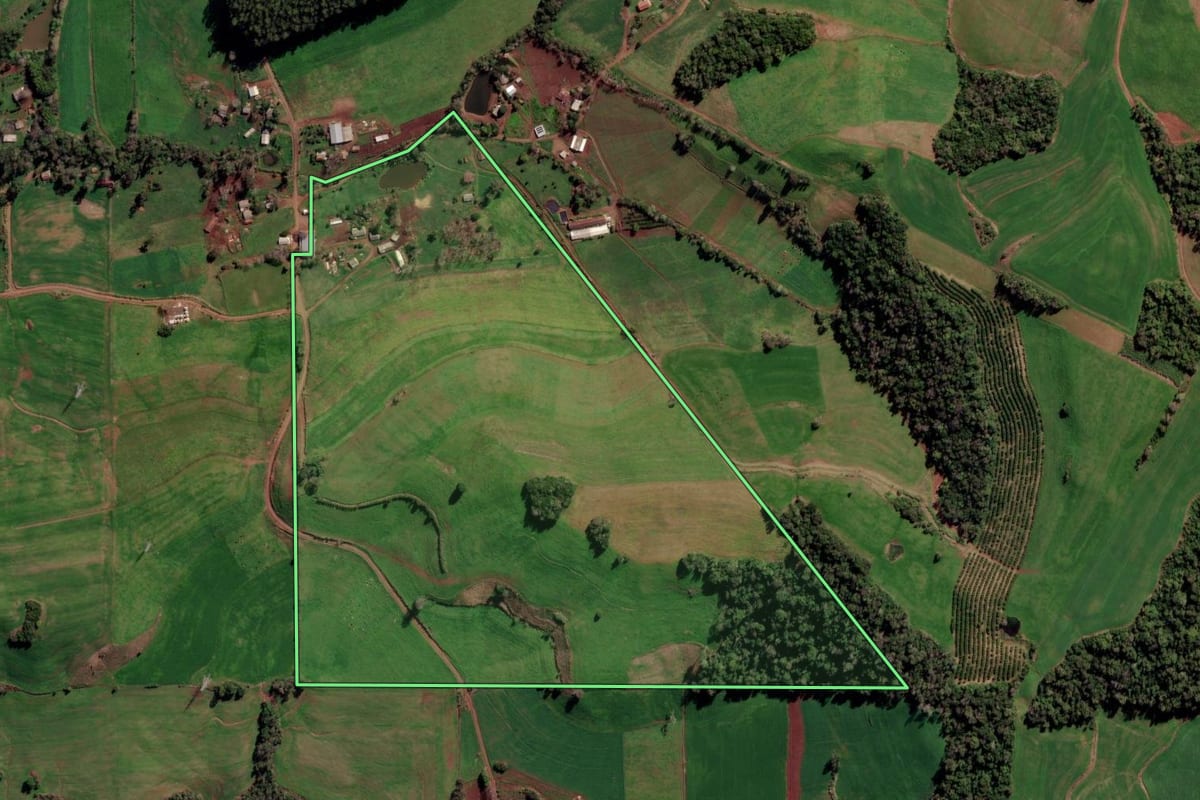 Imagem de satélite do imóvel rural em Constantina (RS), com o contorno declarado no CAR desenhado por cima.