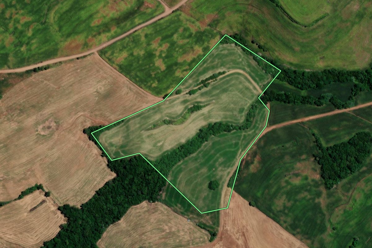 Imagem de satélite do imóvel rural em Constantina (RS), com o contorno declarado no CAR desenhado por cima.