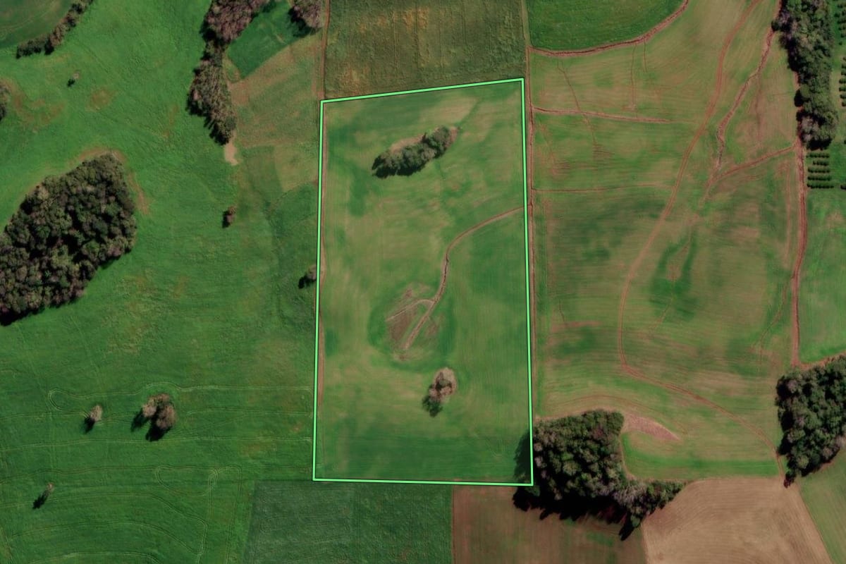 Imagem de satélite do imóvel rural em Constantina (RS), com o contorno declarado no CAR desenhado por cima.