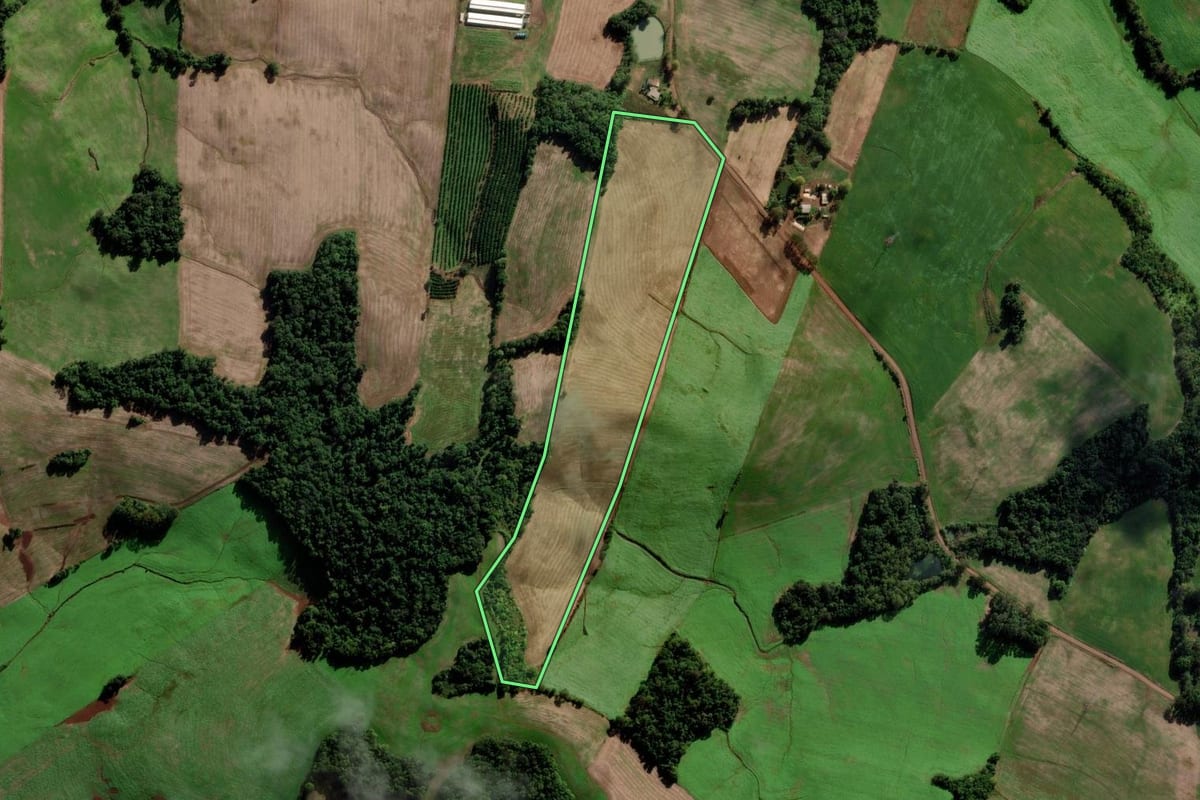 Imagem de satélite do imóvel rural em Constantina (RS), com o contorno declarado no CAR desenhado por cima.