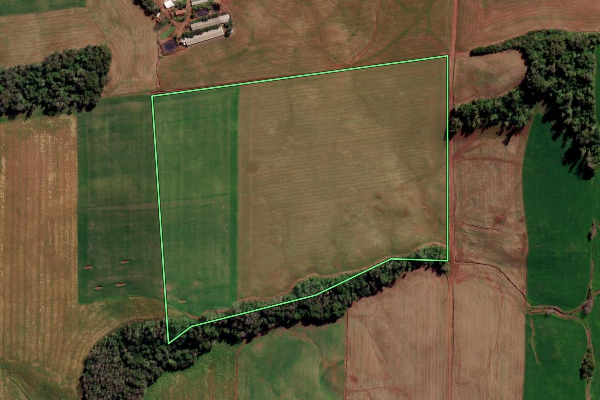 Imagem de satélite do imóvel rural em Constantina (RS), com o contorno declarado no CAR desenhado por cima.