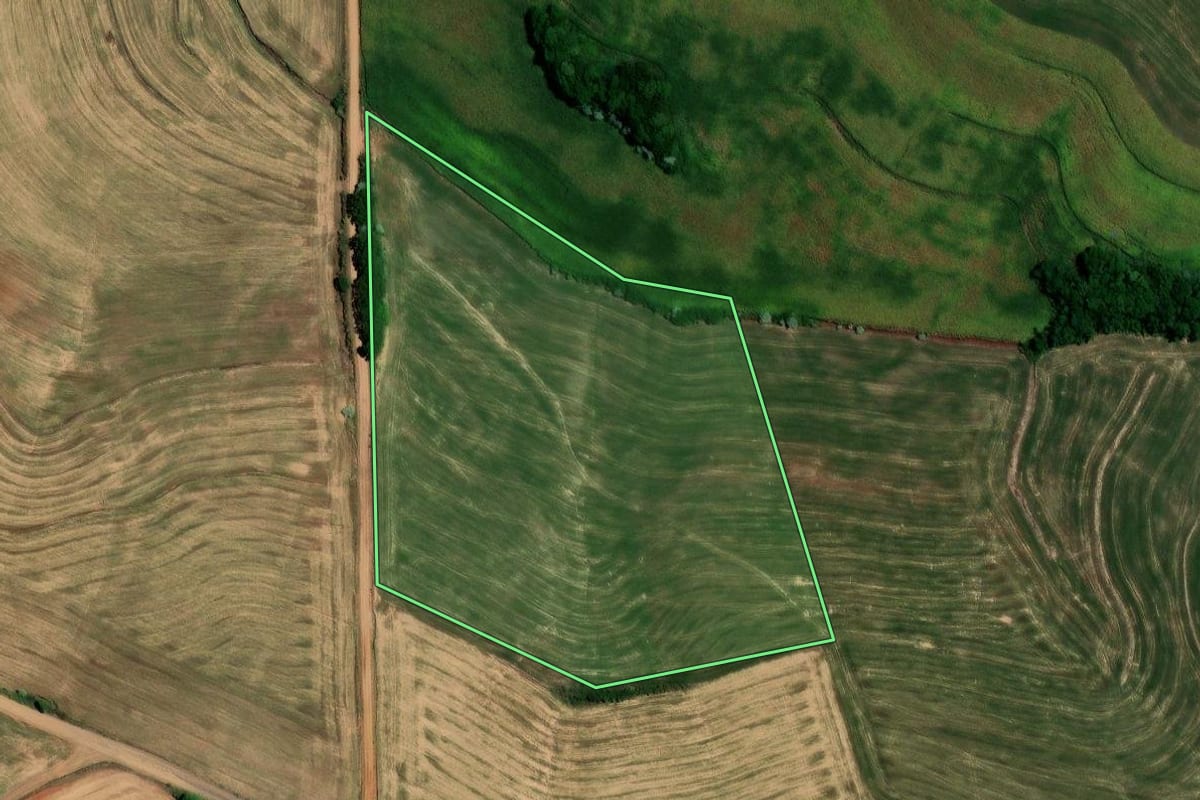 Imagem de satélite do imóvel rural em Constantina (RS), com o contorno declarado no CAR desenhado por cima.