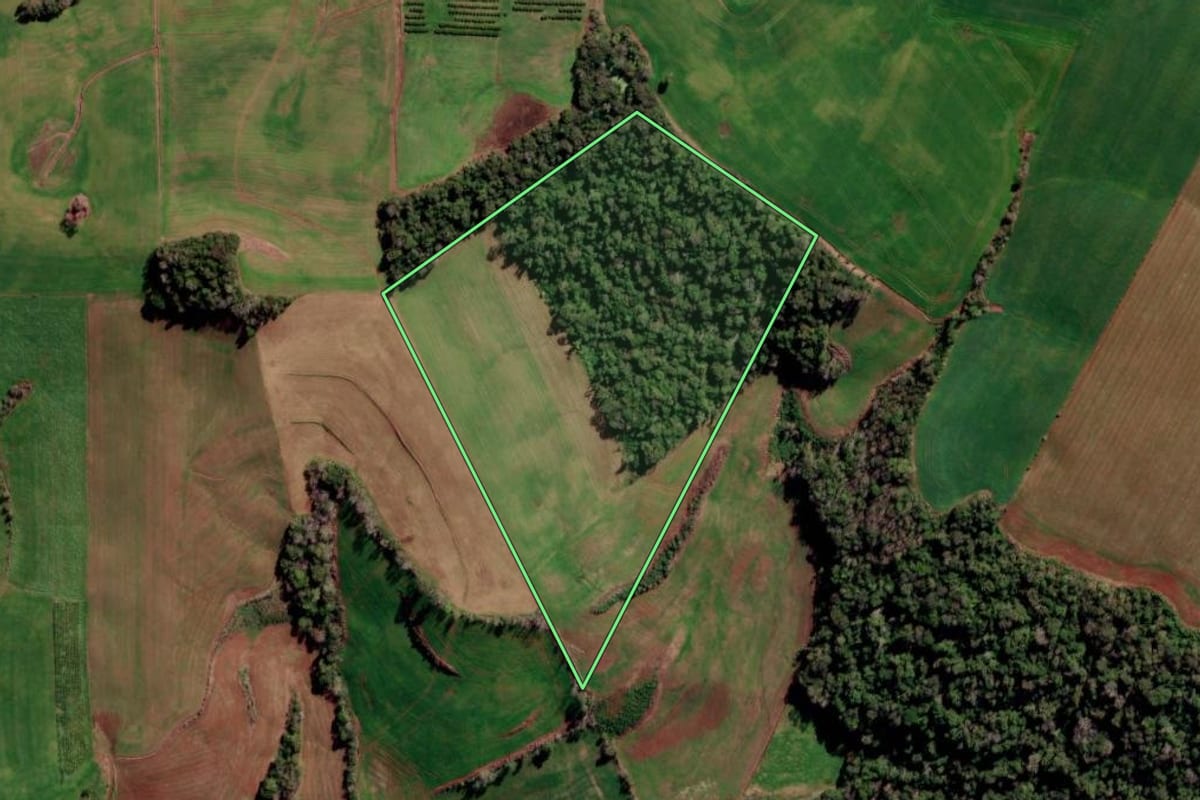 Imagem de satélite do imóvel rural em Constantina (RS), com o contorno declarado no CAR desenhado por cima.