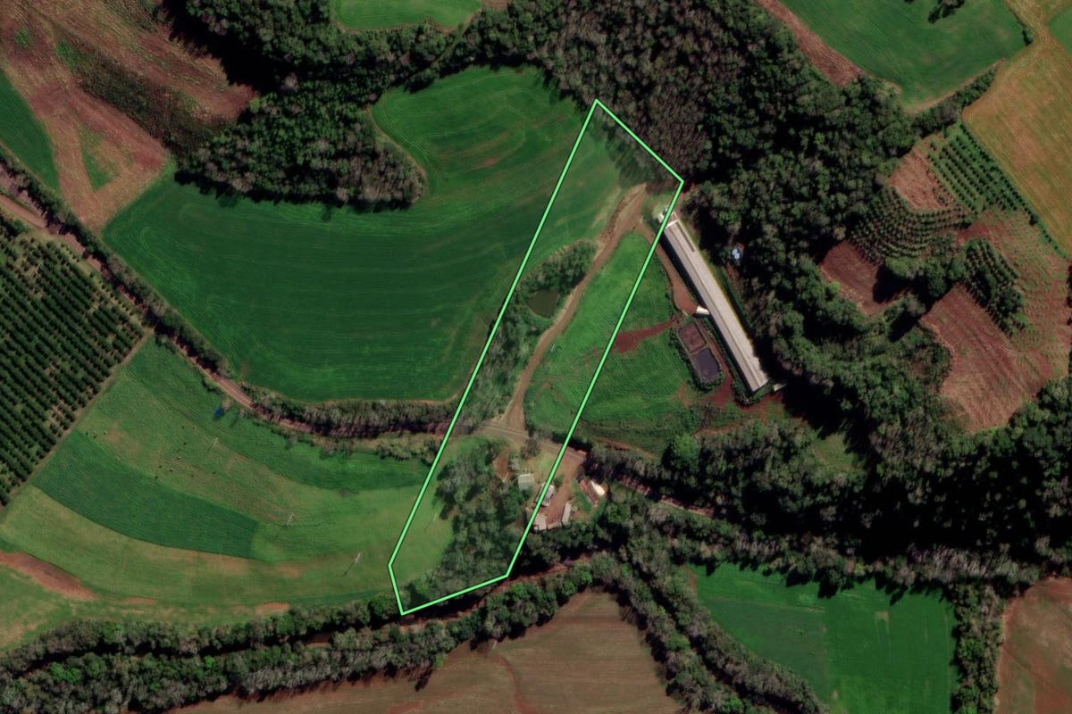 Imagem de satélite do imóvel rural em Constantina (RS), com o contorno declarado no CAR desenhado por cima.