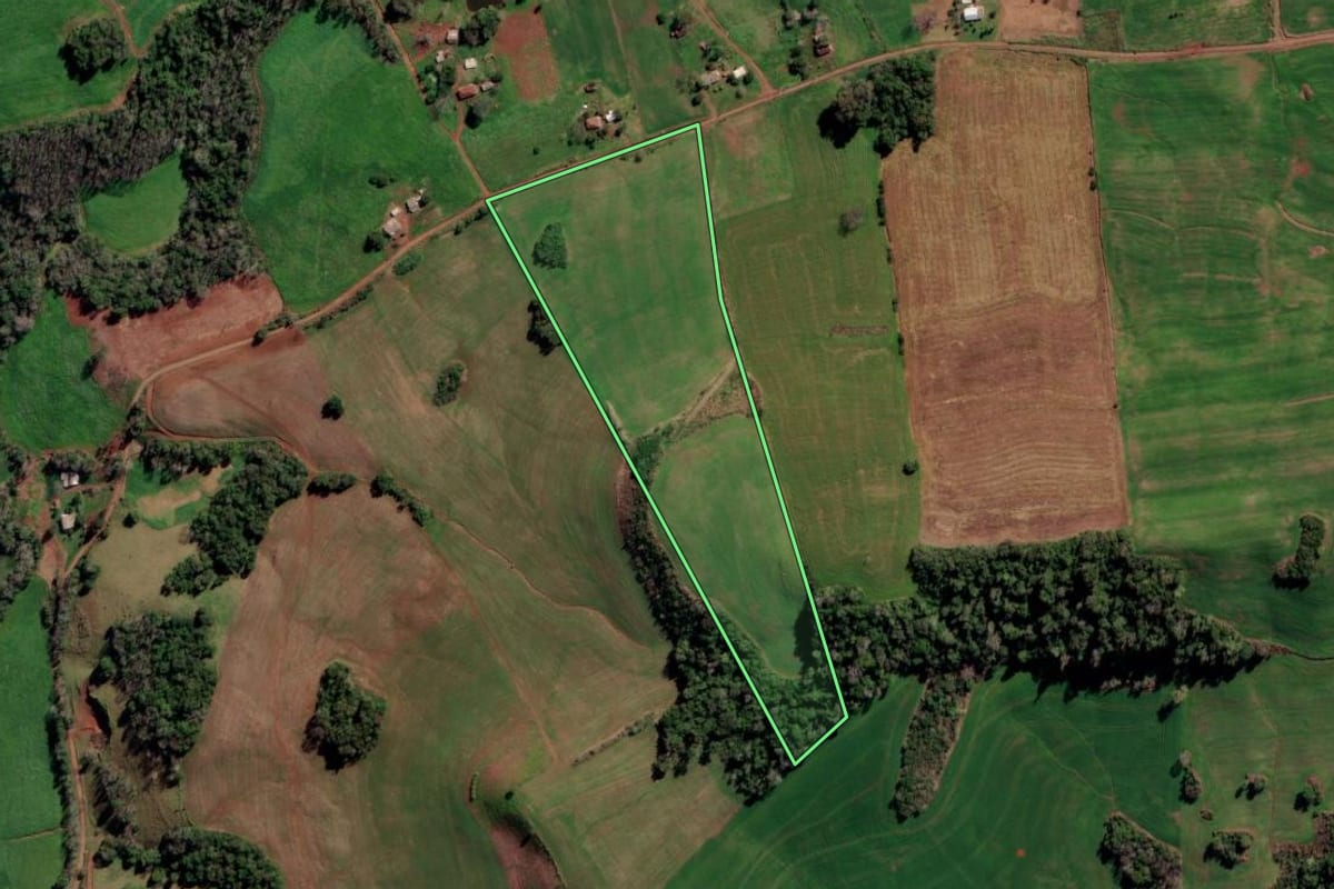 Imagem de satélite do imóvel rural em Constantina (RS), com o contorno declarado no CAR desenhado por cima.