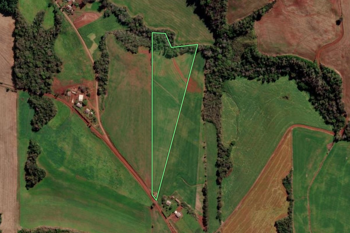 Imagem de satélite do imóvel rural em Constantina (RS), com o contorno declarado no CAR desenhado por cima.