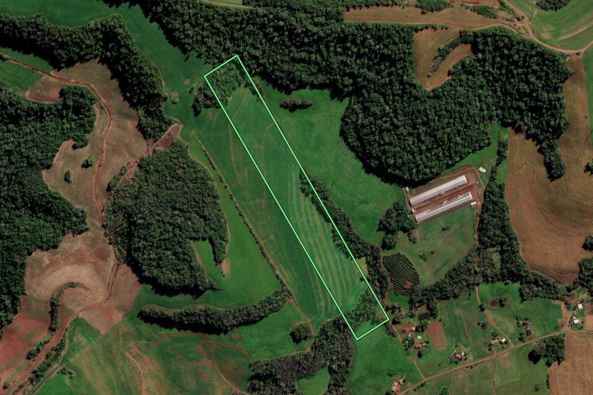 Imagem de satélite do imóvel rural em Constantina (RS), com o contorno declarado no CAR desenhado por cima.
