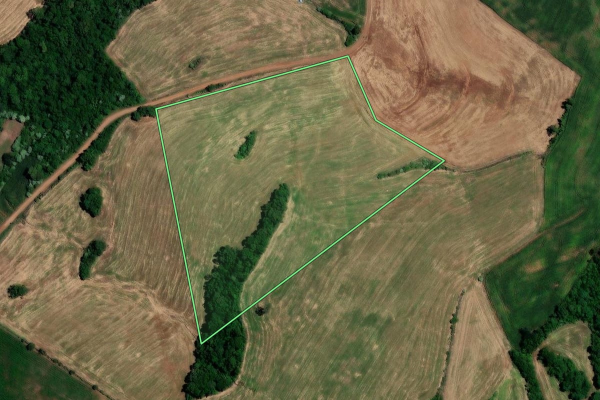 Imagem de satélite do imóvel rural em Constantina (RS), com o contorno declarado no CAR desenhado por cima.