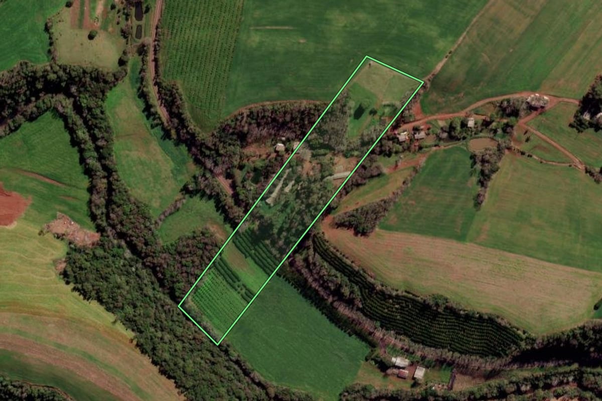 Imagem de satélite do imóvel rural em Constantina (RS), com o contorno declarado no CAR desenhado por cima.