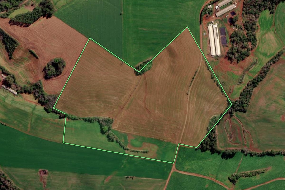 Imagem de satélite do imóvel rural em Constantina (RS), com o contorno declarado no CAR desenhado por cima.