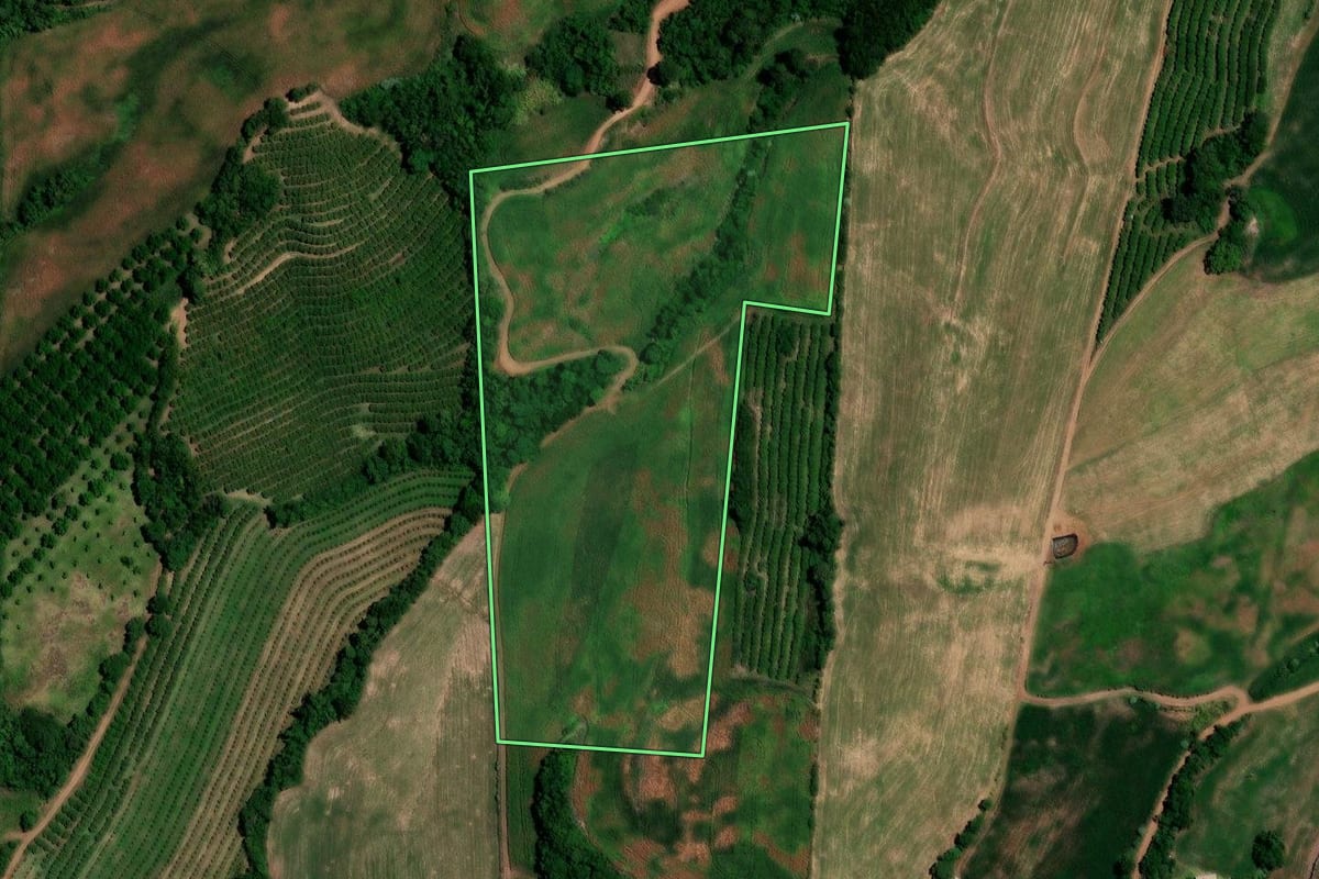Imagem de satélite do imóvel rural em Constantina (RS), com o contorno declarado no CAR desenhado por cima.