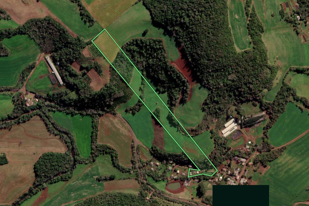 Imagem de satélite do imóvel rural em Constantina (RS), com o contorno declarado no CAR desenhado por cima.