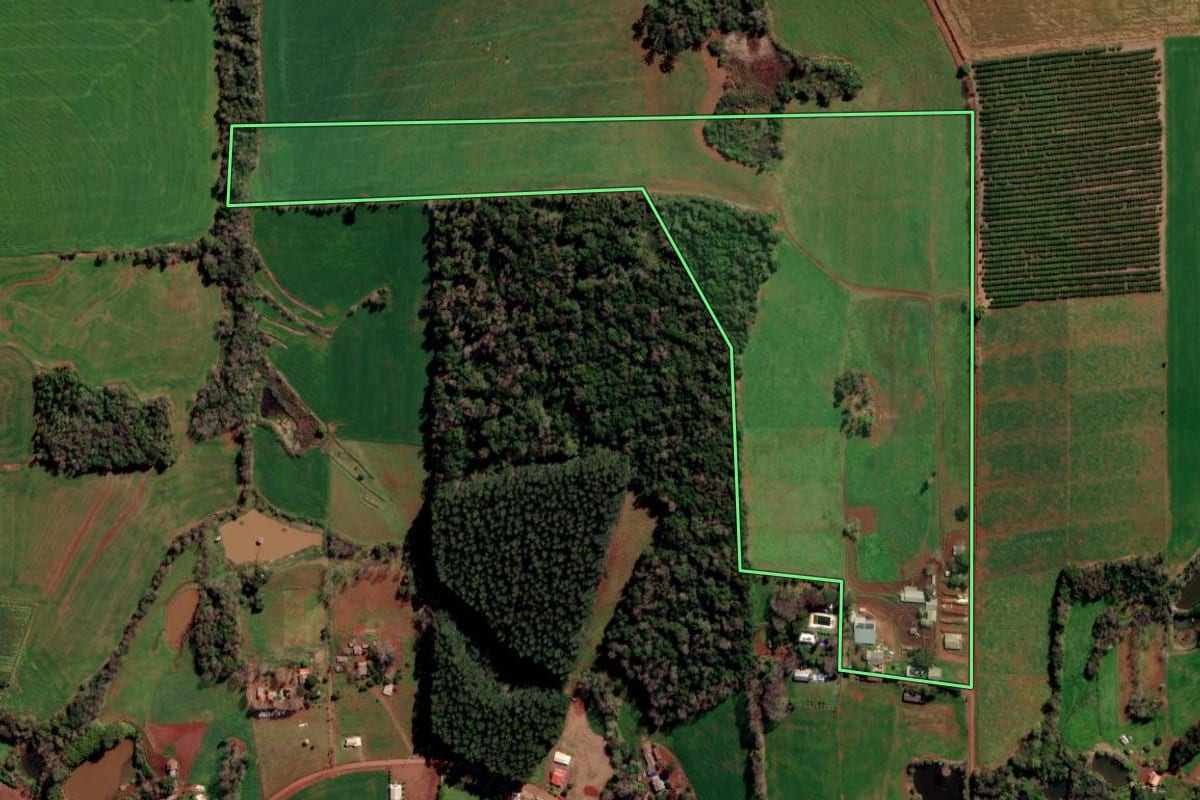 Imagem de satélite do imóvel rural em Constantina (RS), com o contorno declarado no CAR desenhado por cima.