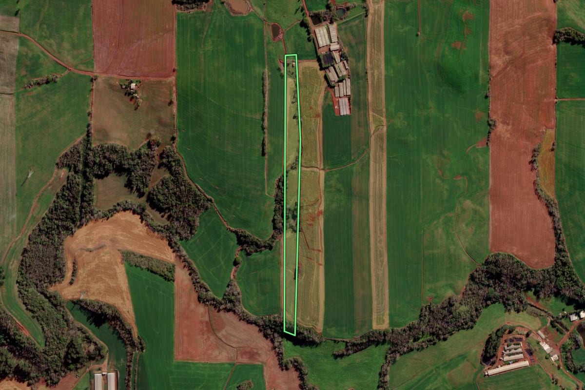 Imagem de satélite do imóvel rural em Constantina (RS), com o contorno declarado no CAR desenhado por cima.