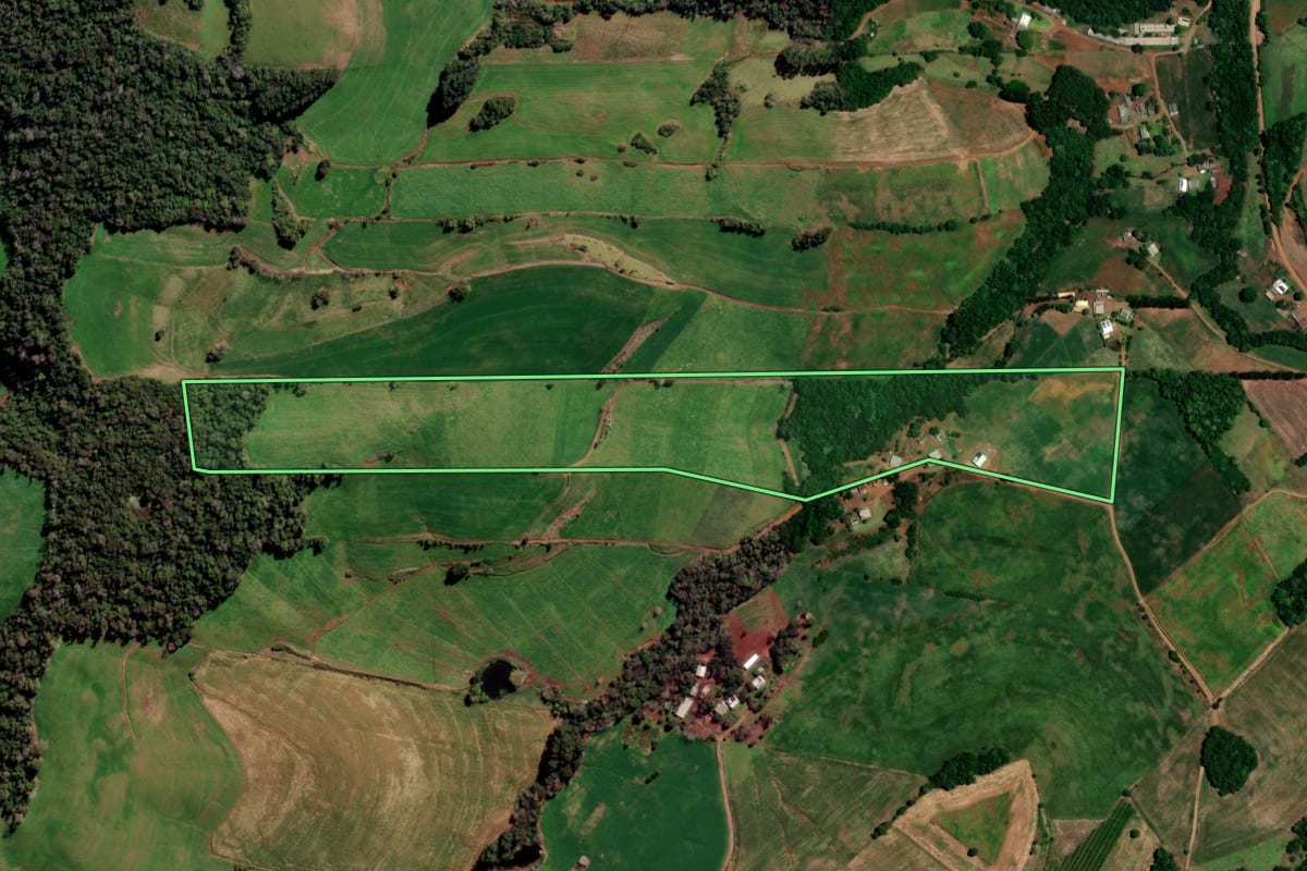 Imagem de satélite do imóvel rural em Constantina (RS), com o contorno declarado no CAR desenhado por cima.