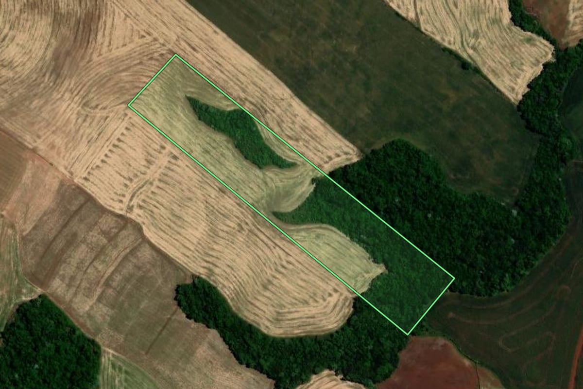 Imagem de satélite do imóvel rural em Constantina (RS), com o contorno declarado no CAR desenhado por cima.