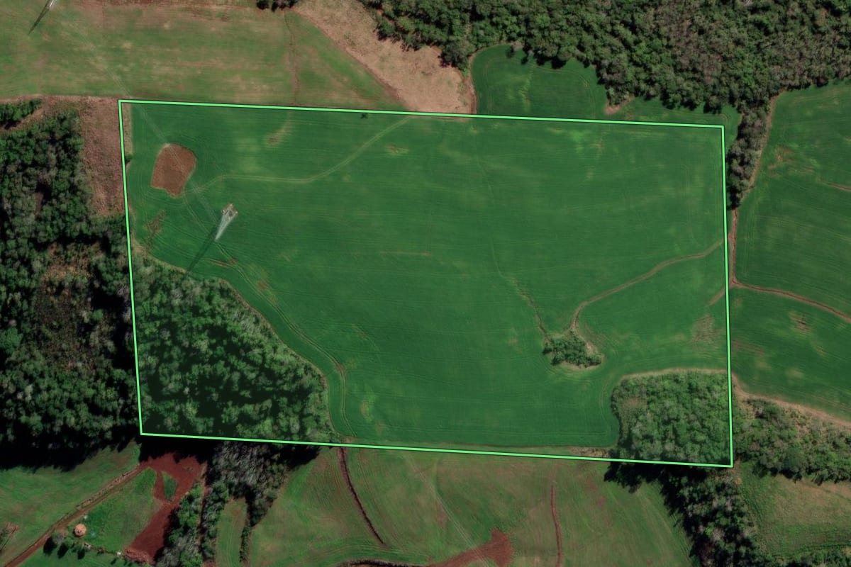 Imagem de satélite do imóvel rural em Constantina (RS), com o contorno declarado no CAR desenhado por cima.
