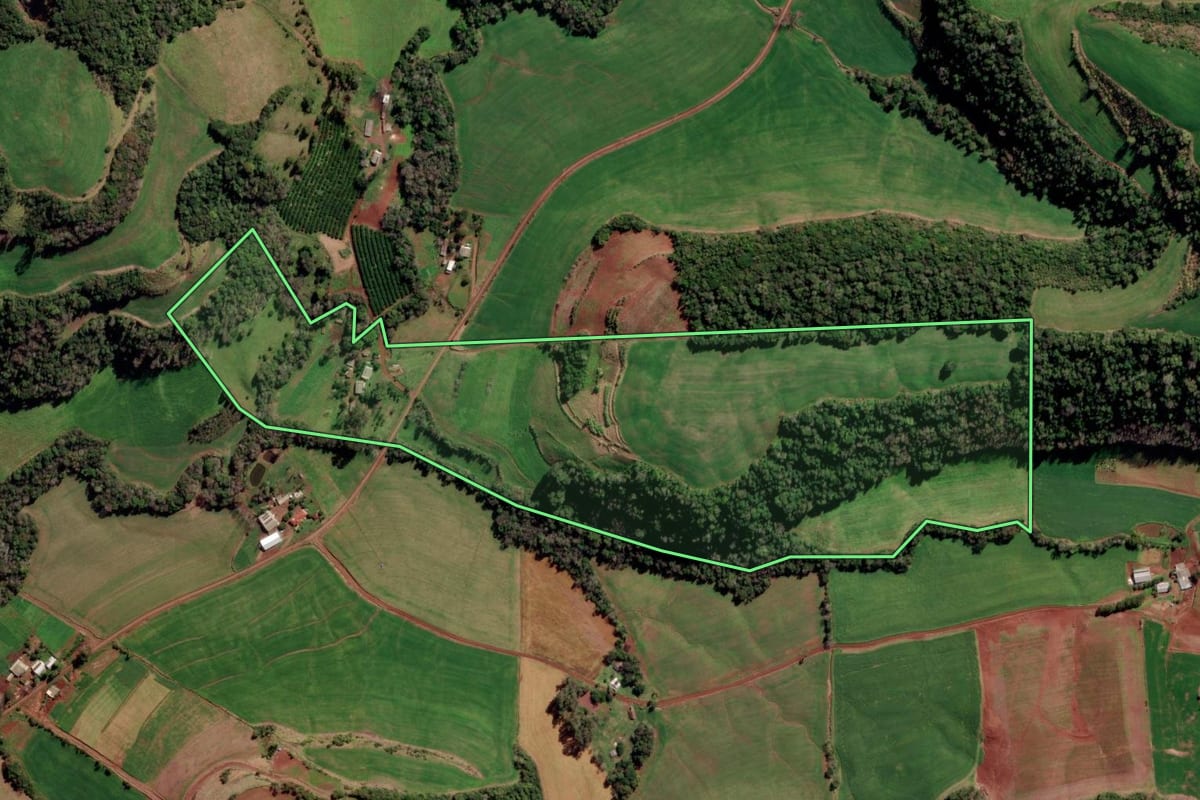 Imagem de satélite do imóvel rural em Constantina (RS), com o contorno declarado no CAR desenhado por cima.