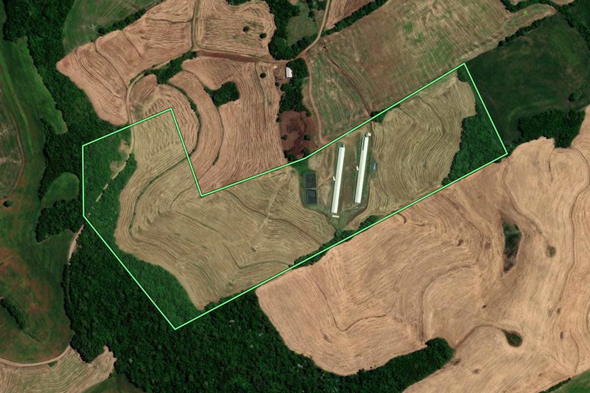 Imagem de satélite do imóvel rural em Constantina (RS), com o contorno declarado no CAR desenhado por cima.