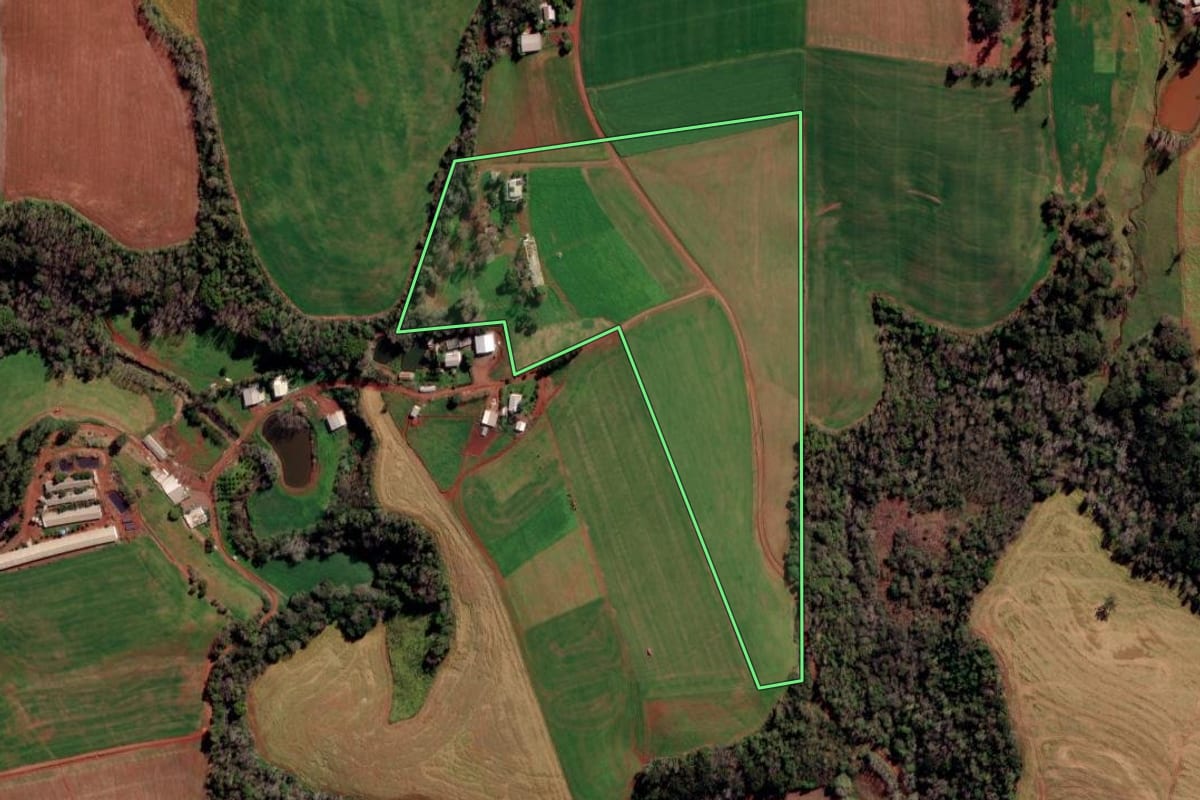 Imagem de satélite do imóvel rural em Constantina (RS), com o contorno declarado no CAR desenhado por cima.