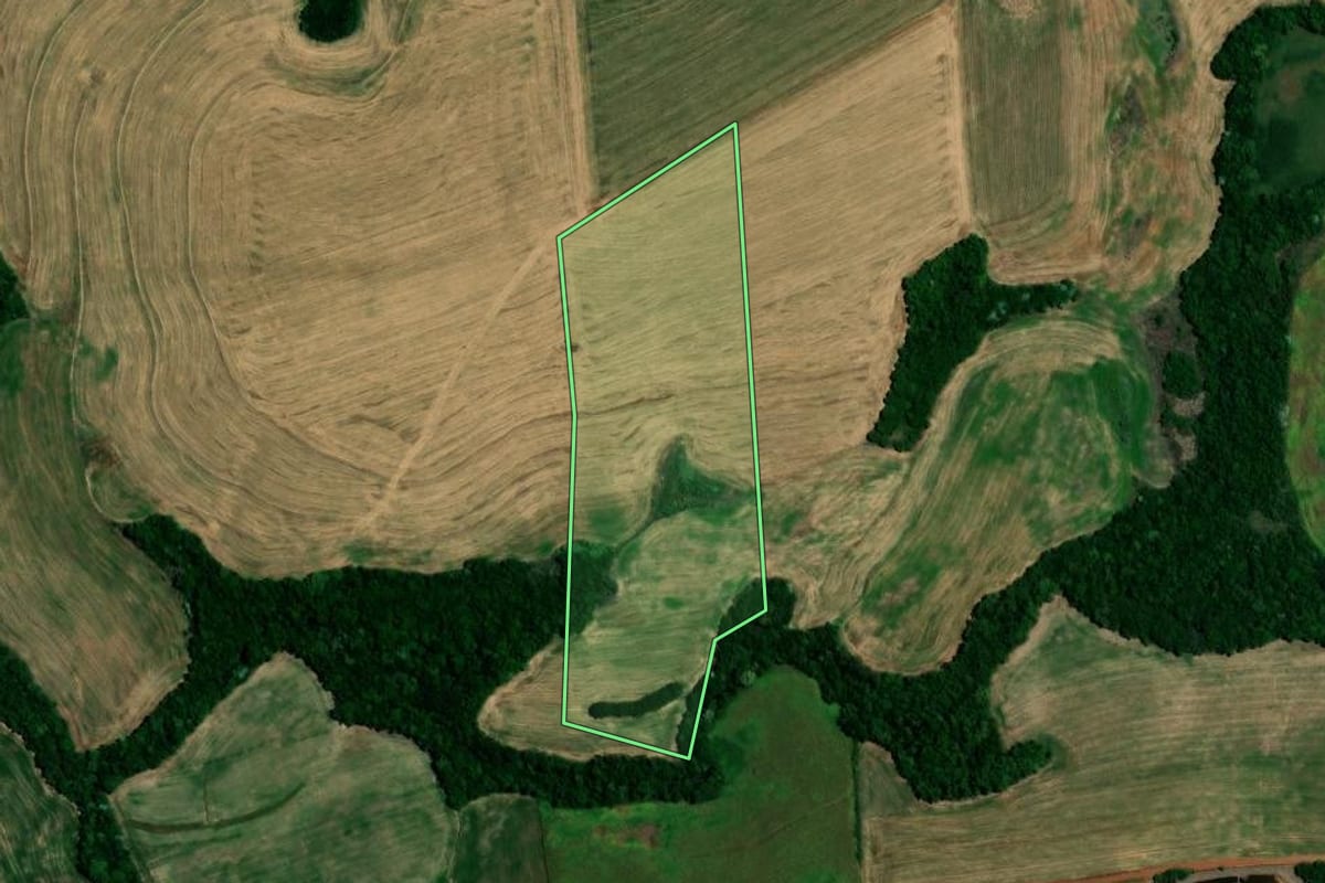 Imagem de satélite do imóvel rural em Constantina (RS), com o contorno declarado no CAR desenhado por cima.