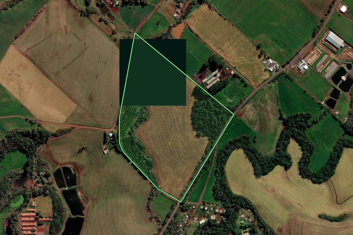 Imagem de satélite do imóvel rural em Constantina (RS), com o contorno declarado no CAR desenhado por cima.