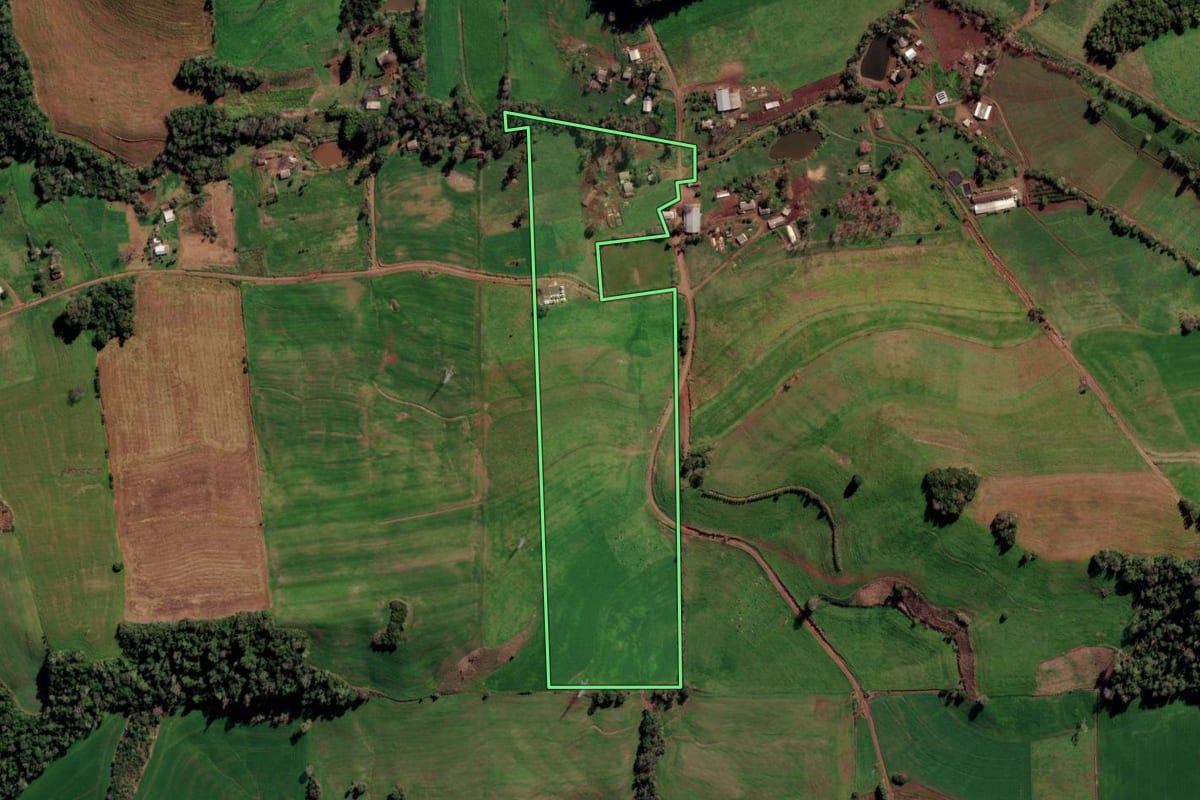 Imagem de satélite do imóvel rural em Constantina (RS), com o contorno declarado no CAR desenhado por cima.