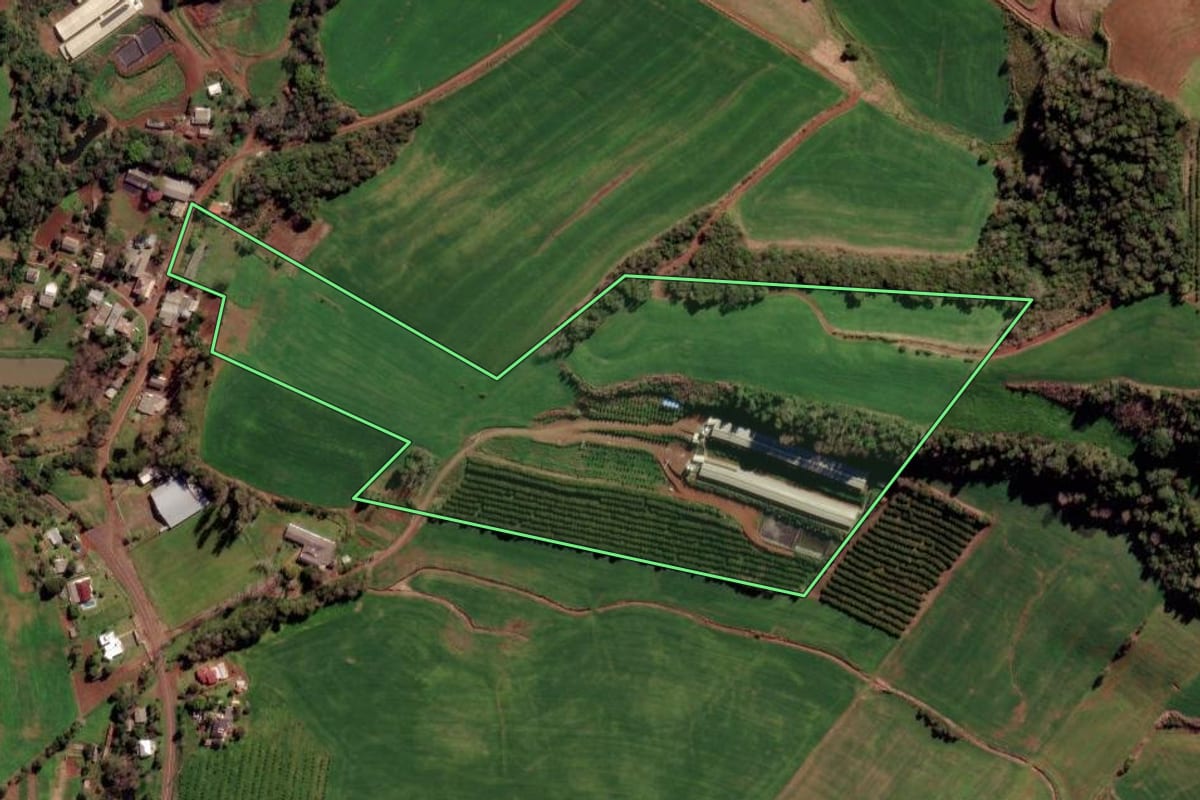 Imagem de satélite do imóvel rural em Constantina (RS), com o contorno declarado no CAR desenhado por cima.