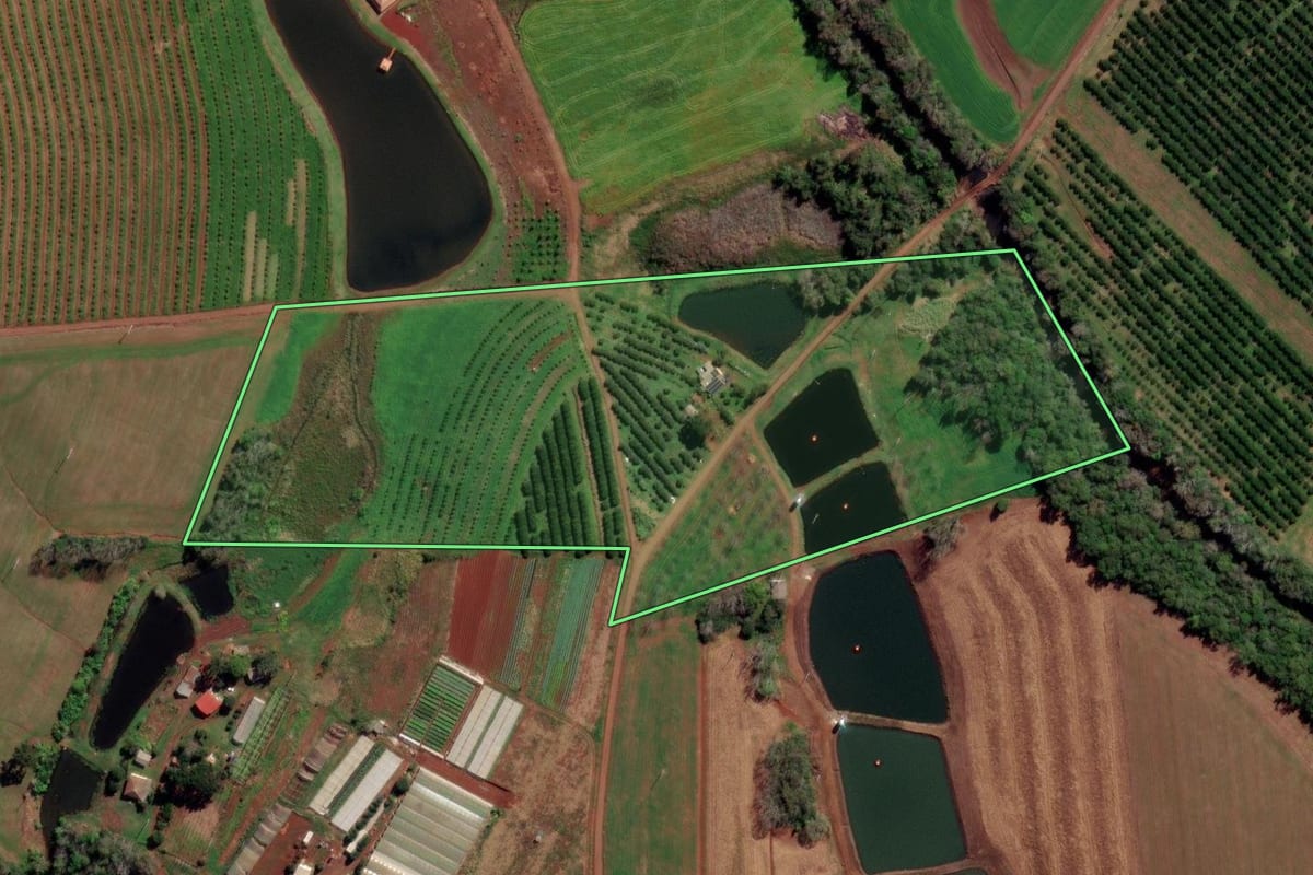 Imagem de satélite do imóvel rural em Constantina (RS), com o contorno declarado no CAR desenhado por cima.