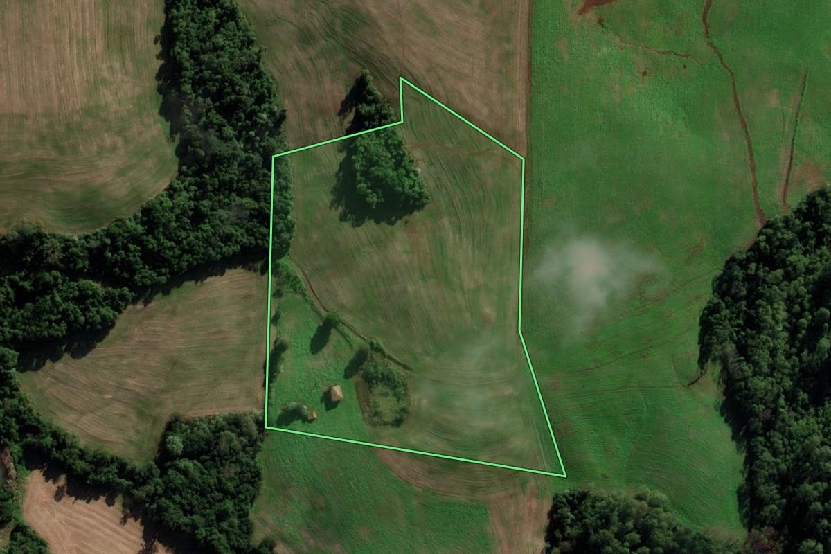 Imagem de satélite do imóvel rural em Constantina (RS), com o contorno declarado no CAR desenhado por cima.