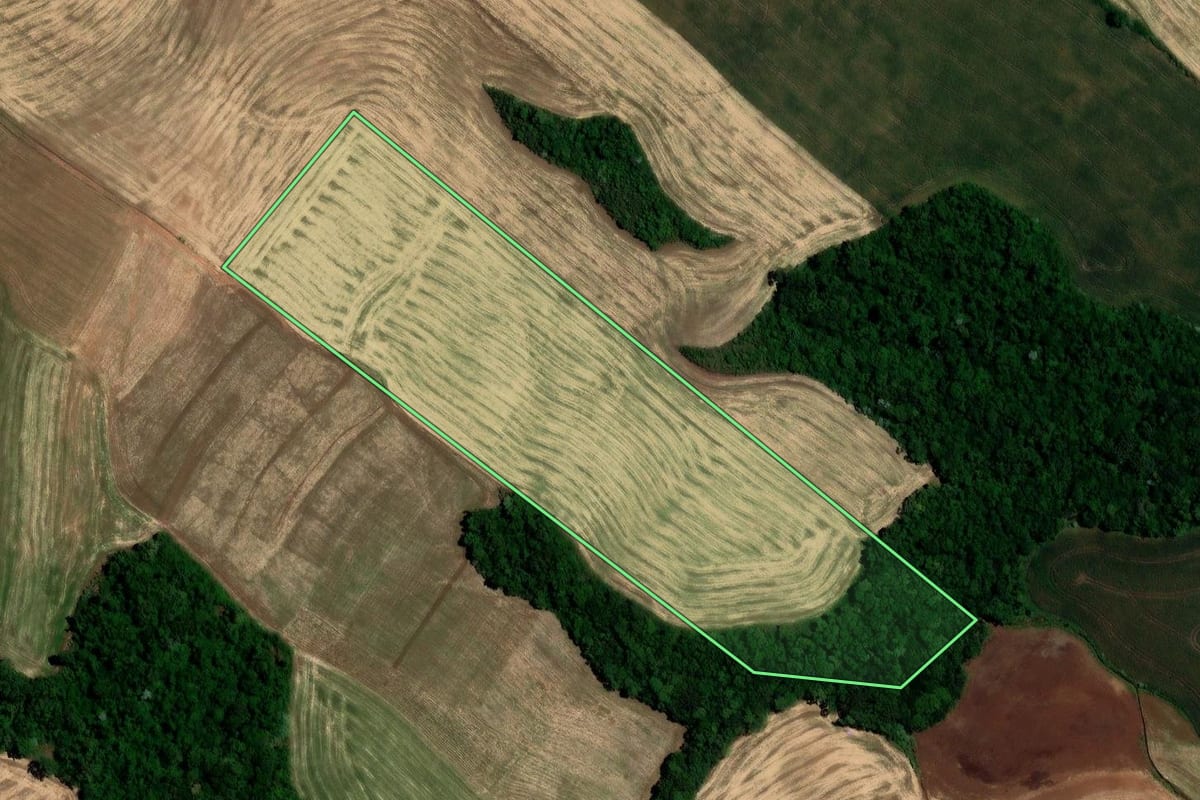 Imagem de satélite do imóvel rural em Constantina (RS), com o contorno declarado no CAR desenhado por cima.