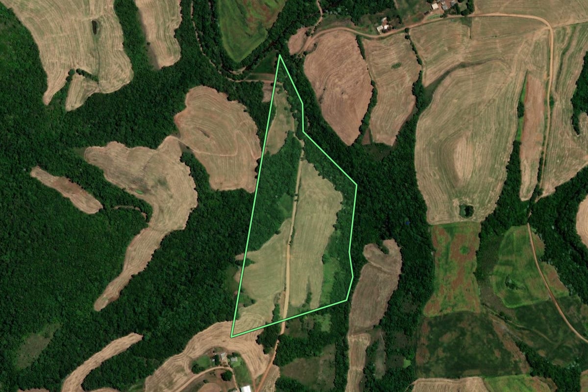 Imagem de satélite do imóvel rural em Constantina (RS), com o contorno declarado no CAR desenhado por cima.
