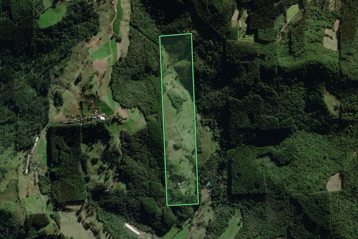 Imagem de satélite do imóvel rural em Coqueiro Baixo (RS), com o contorno declarado no CAR desenhado por cima.