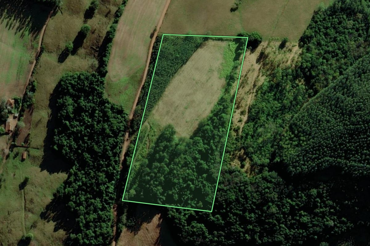Imagem de satélite do imóvel rural em Coqueiro Baixo (RS), com o contorno declarado no CAR desenhado por cima.