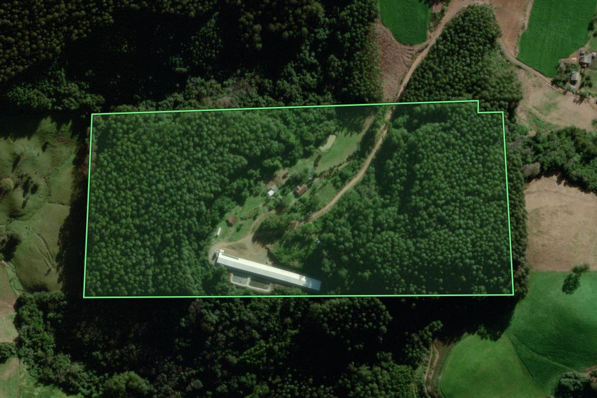 Imagem de satélite do imóvel rural em Coqueiro Baixo (RS), com o contorno declarado no CAR desenhado por cima.